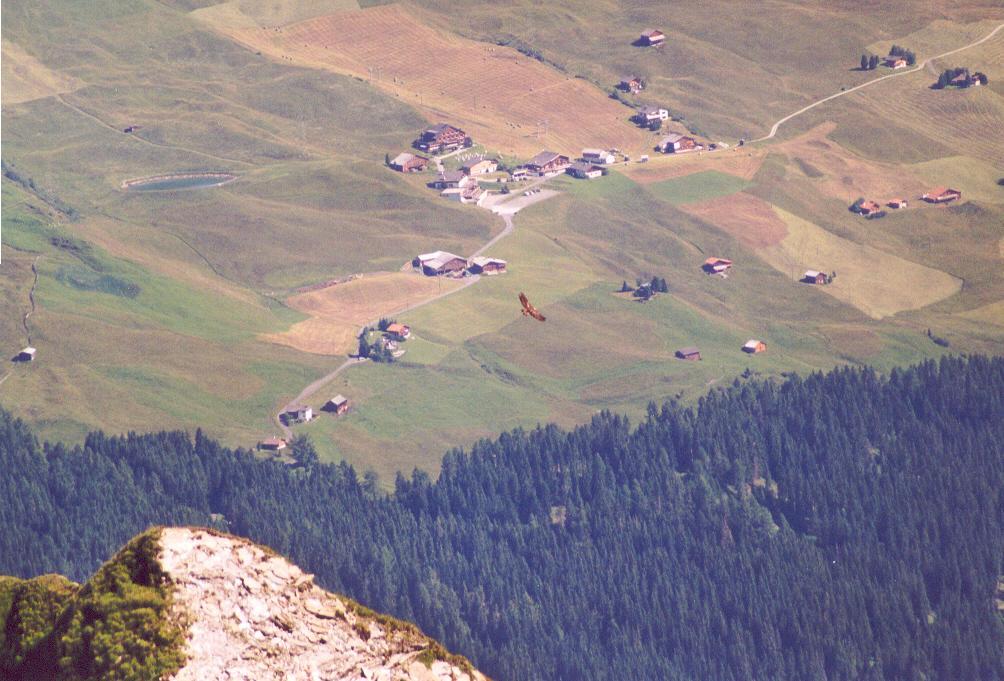 Berghaus Obergmeind Tschappina Exterior photo